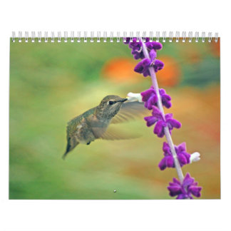 TrädgårdHummingbirdkalender Kalender