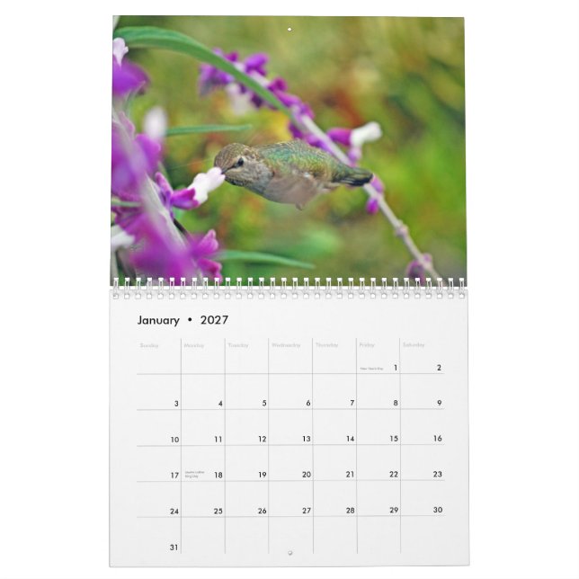 TrädgårdHummingbirdkalender Kalender (Jan 2027)
