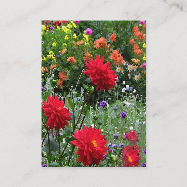 Trädgårds- ATC för Dahlia Visitkort (Framsida)