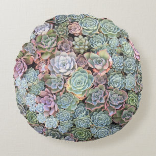 Trädgårds- blandning Sempervivum för suckulent Rund Kudde