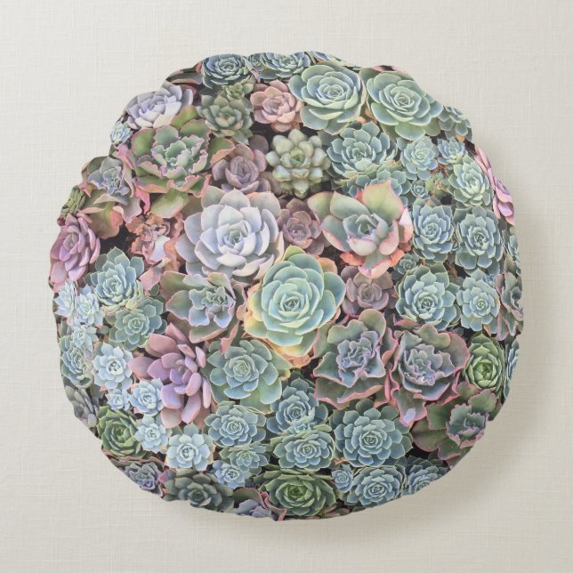 Trädgårds- blandning Sempervivum för suckulent Rund Kudde (Framsidan)