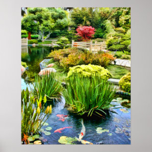 Trädgårds- damm för japan med Koi HDR juli 10 Poster