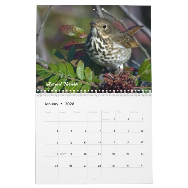 Trädgårds- fågelmånadstidningkalender kalender (Jan 2026)
