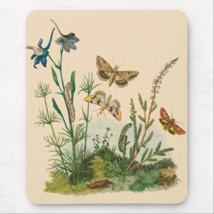 Trädgårds- insekter för vintage, fjärilar, musmatta