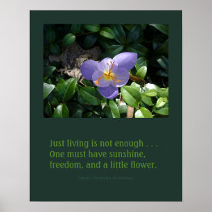 Trädgårds- inspirera affisch för krokus