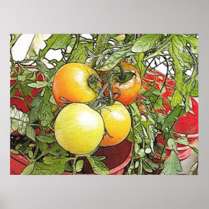 Trädgårds- nya Heirloomtomater Poster