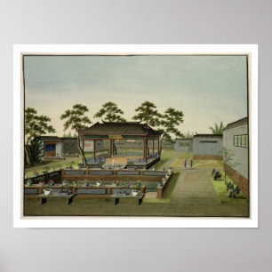 Trädgårds- plats, c.1820-40 (w/c på papper) 4 poster