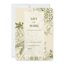 Trädgårds Scabiosa blomma linje illustration.