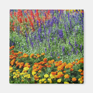 Trädgårds- skönhetblomsterfotografimagnet magnet
