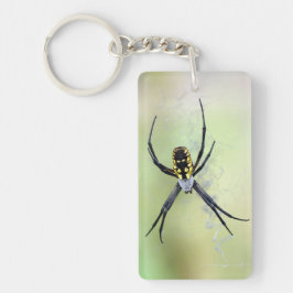 Trädgårds- spindelakryl Keychain för Argiope Nyckelring