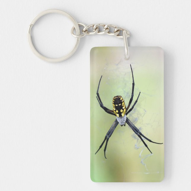 Trädgårds- spindelakryl Keychain för Argiope Nyckelring (Framsidan)