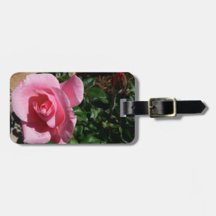 Trädgårdsblomma med rosa ros och knopp bagagebricka