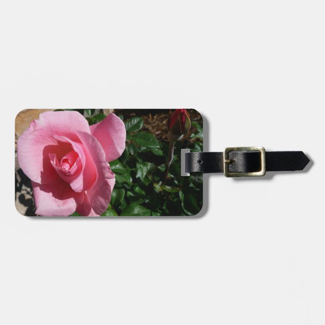Trädgårdsblomma med rosa ros och knopp bagagebricka (Horisontell Framsida)