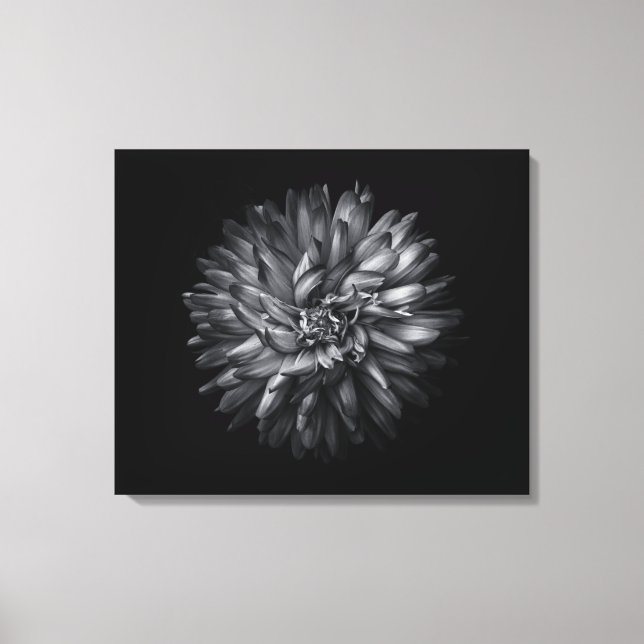 Trädgårdsblommor i svart och vitt 20 canvastryck (Framsida)