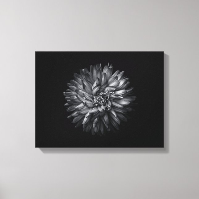 Trädgårdsblommor i svart och vitt 20 canvastryck (Framsida)