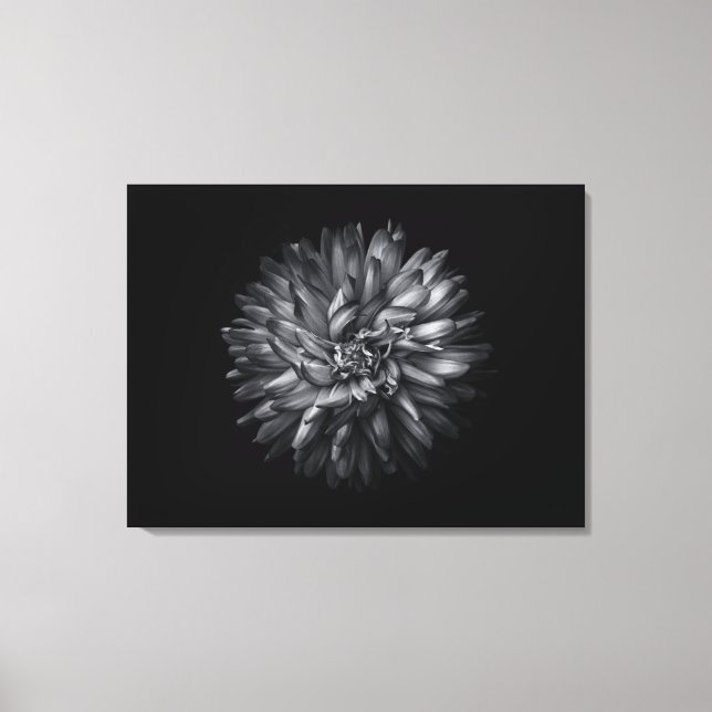 Trädgårdsblommor i svart och vitt 20 canvastryck (Framsida)