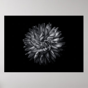 Trädgårdsblommor i svart och vitt 20 poster