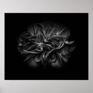 Trädgårdsblommor i svart och vitt 67 poster