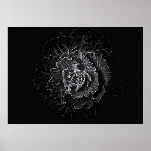 Trädgårdsblommor i svart och vitt nr 100 poster (Framsidan)