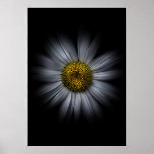 Trädgårdsblommor nr 13 Färgflödesversion Poster