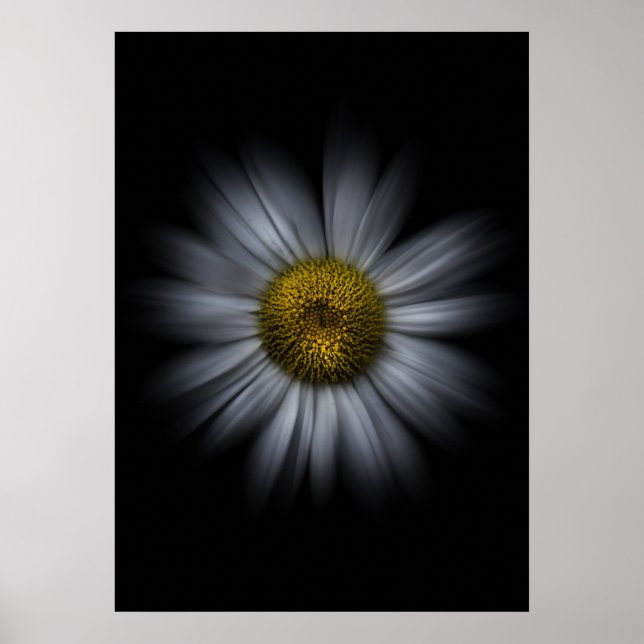 Trädgårdsblommor nr 13 Färgflödesversion Poster (Framsidan)
