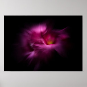 Trädgårdsblommor nr 2 Färgflödesversion Poster