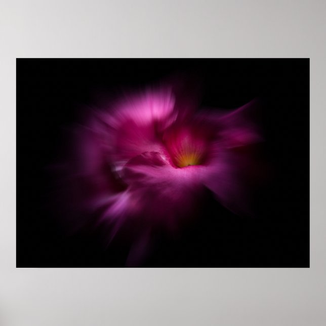 Trädgårdsblommor nr 2 Färgflödesversion Poster (Framsidan)