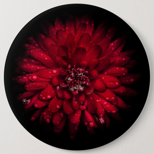 Trädgårdsblommor Nr 45 Färgversion Knapp (Framsida)