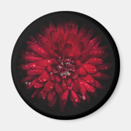 Trädgårdsblommor Nr 45 Färgversion Magnet