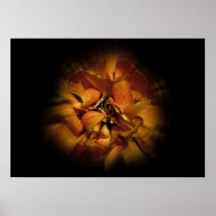 Trädgårdsblommor Nr 80 Färgflödesversion Poster