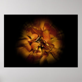 Trädgårdsblommor Nr 80 Färgflödesversion Poster