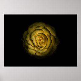 Trädgårdsblommor nr 85 färgversion poster