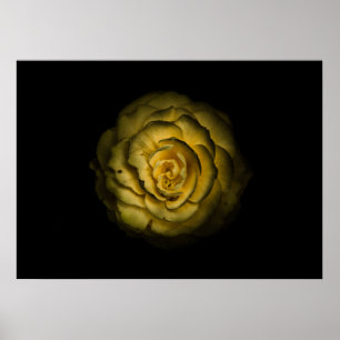Trädgårdsblommor nr 85 färgversion poster