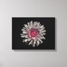 Trädgårdsblommor nr 91 Färgversion