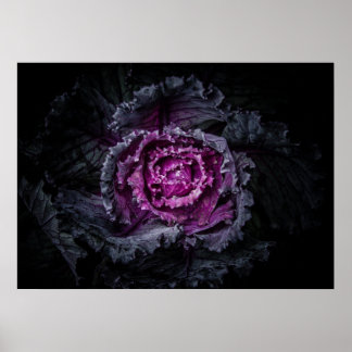 Trädgårdsblommor nr 92 färgversion poster