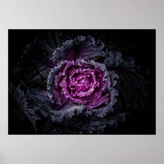 Trädgårdsblommor nr 92 färgversion poster (Framsidan)