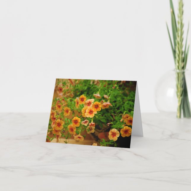 Trädgårdsblommor Tack Kort (Framsida)