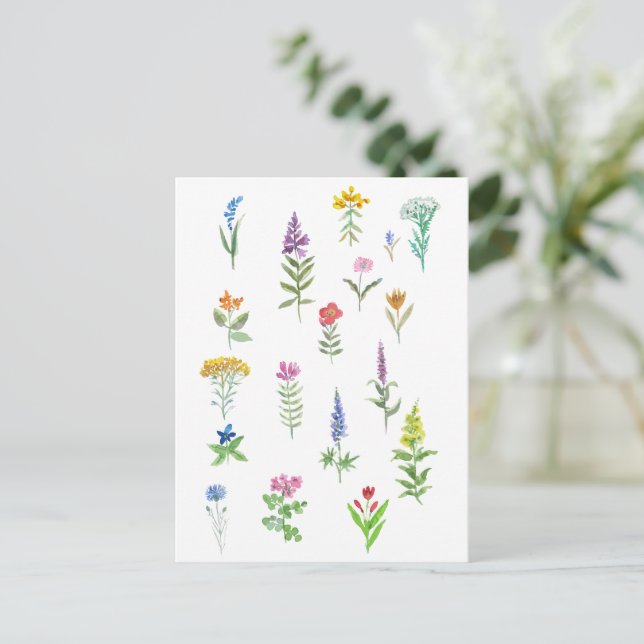 trädgårdsblommor vykort (Stående Fram)