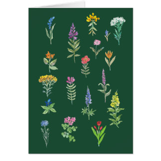 trädgårdsblommor vykort hälsningskort
