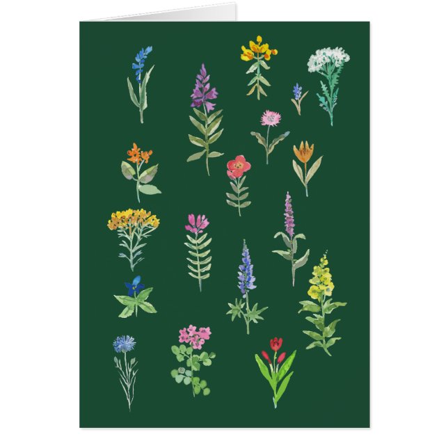 trädgårdsblommor vykort  hälsningskort (Framsidan)