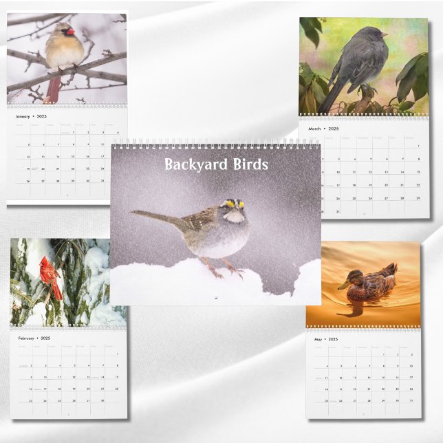 Trädgårdsfåglar Foton & Konst Kalender (Skapare uppladdad)