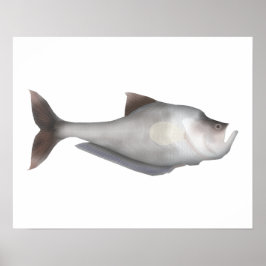 Trädgårdsfisk Poster