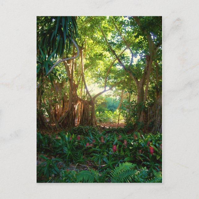 trädgårdsfred vykort (Framsida)