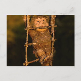 trädgårdsgnom vykort