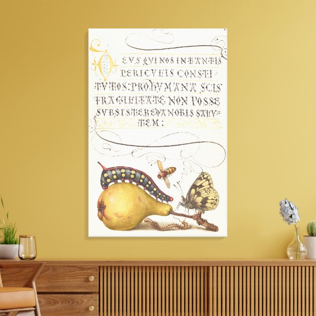 Trädgårdsinsekter, fluga, larv, päron, mångfoting canvastryck (Insitu (Vardagsrum))