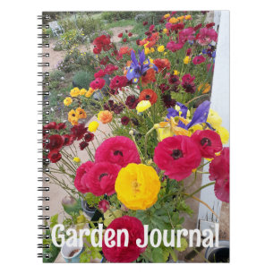 Trädgårdsjournal Ranunkel Röda Vårblommor Anteckningsbok