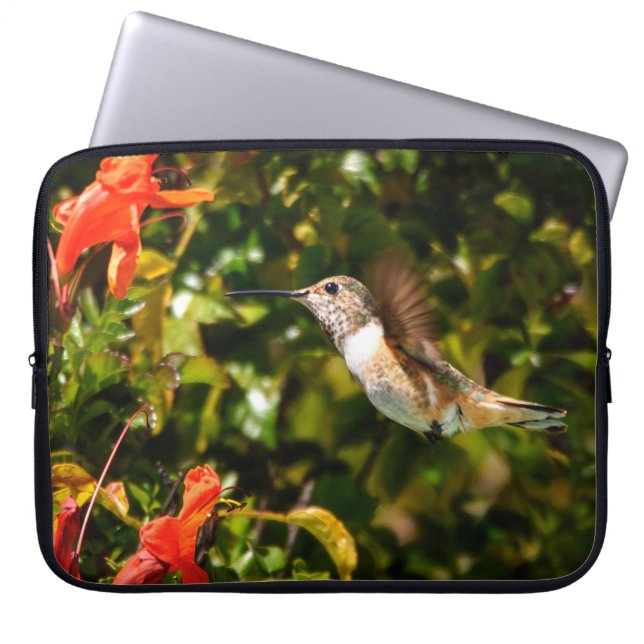 Trädgårdsjuvel: Kolibri i blomning Laptop Fodral (Framsidan)