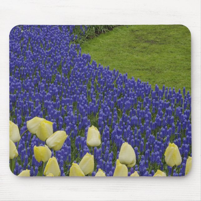 Trädgårdsmönster av druvhyacintblommor och 2 musmatta (Framsidan)