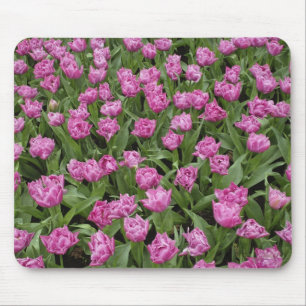 Trädgårdsmönster av tulpaner, Keukenhof Gardens, Musmatta