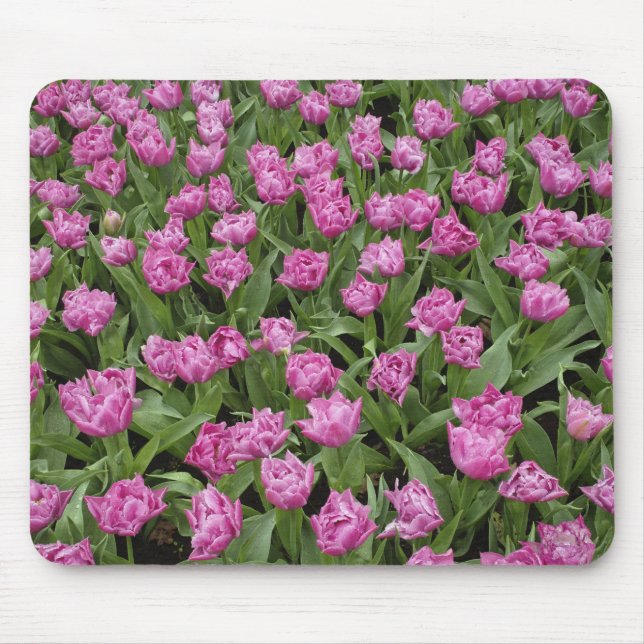Trädgårdsmönster av tulpaner, Keukenhof Gardens, Musmatta (Framsidan)